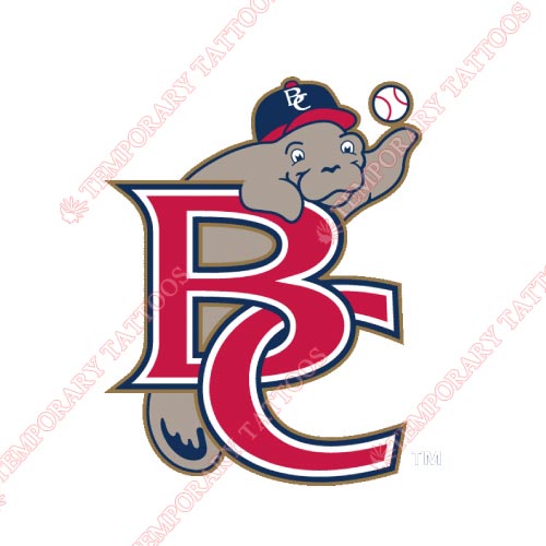 Brevard County Manatees Customize Temporary Tattoos Stickers NO.7884